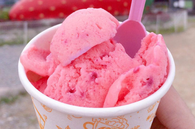 Strawberry Ice Cream, Baguio City