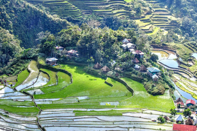 Banaue Rice Terraces, Ifugao, Mountain Province