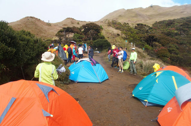 Camping at Mount Pulag Summit, Cordillera