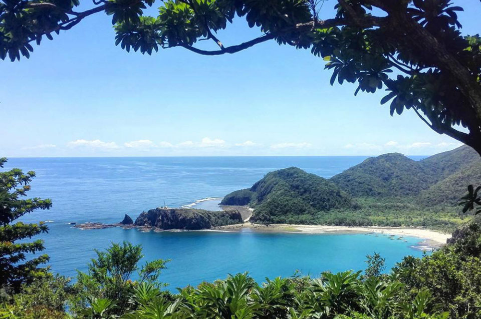 baler day tour package
