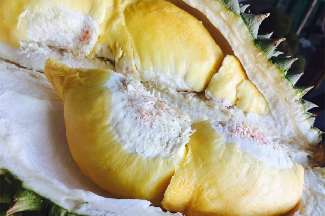 Delicious Durian of Davao