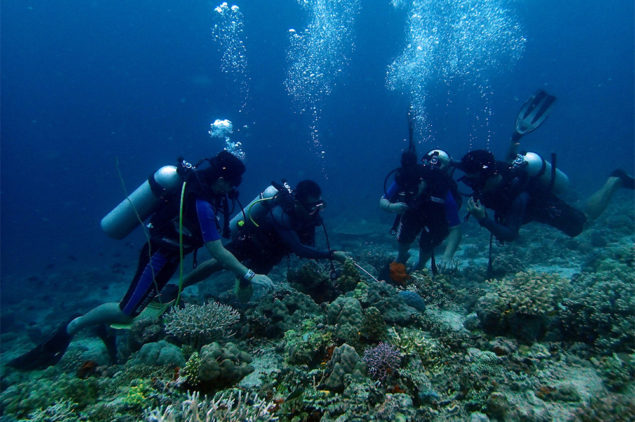 Scuba Diving in Davao