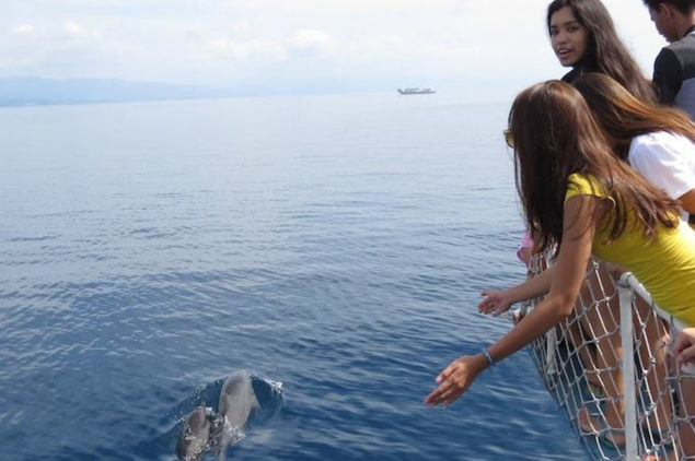 Bais dolphin watching, Dumaguete
