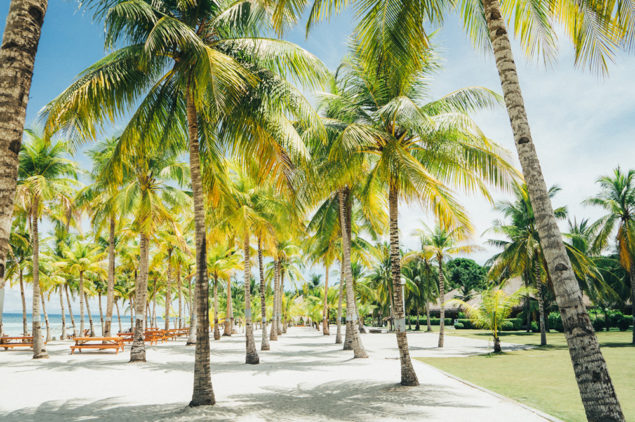 Beach grounds of South Palms Resort, Panglao Island, Bohol