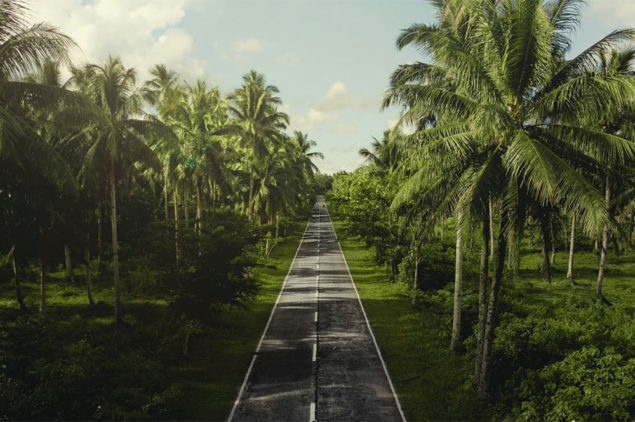 Palm Tree Road, Siargao Island
