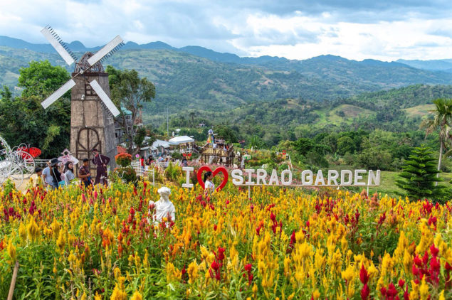 Sirao Flower Farm, Cebu