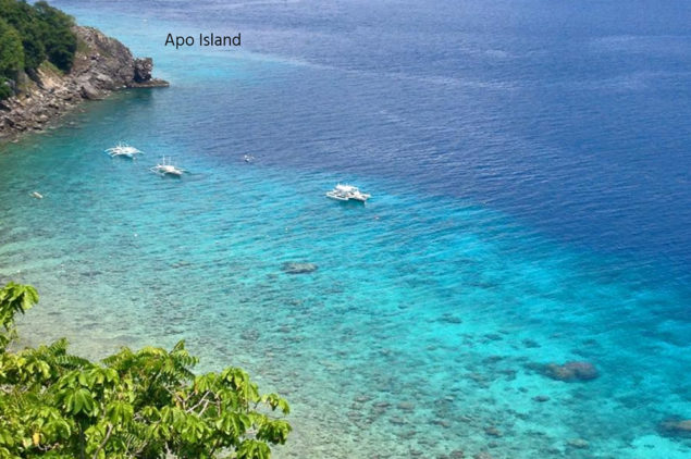 Clear blue waters of Apo Island