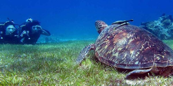 4D3N Explore Bohol Tour Package E