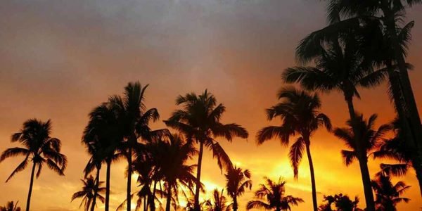 Baler Tour Package
