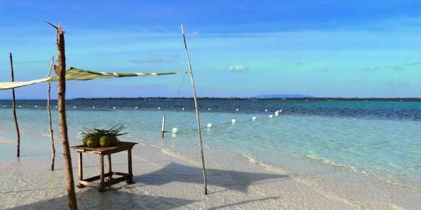 Bohol Tour Package