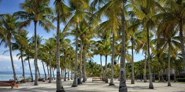 Bohol Travel and Tour Packages