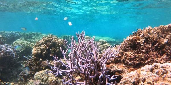 Coron Travel and Tour Packages
