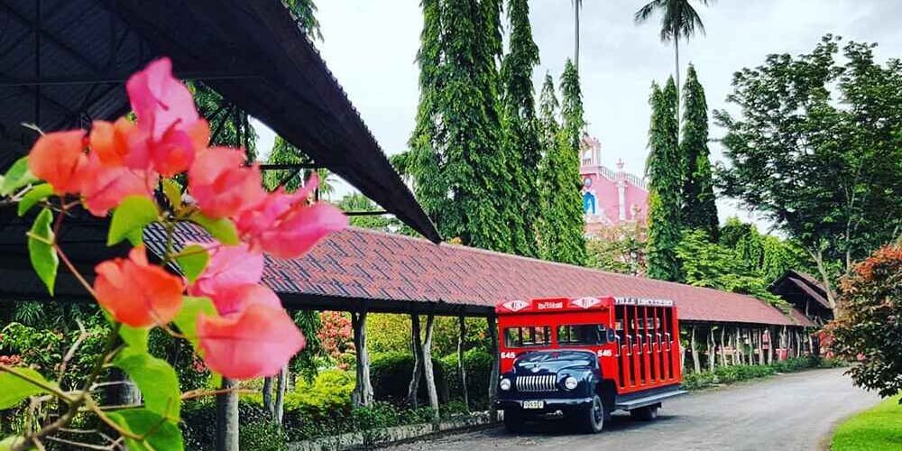Villa Escudero Day Tour Package (no Land Transfer)