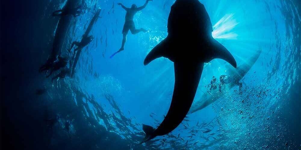 3D2N explore Dumaguete Tour Package B