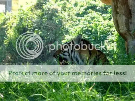 Baluarte Mini Zoo
