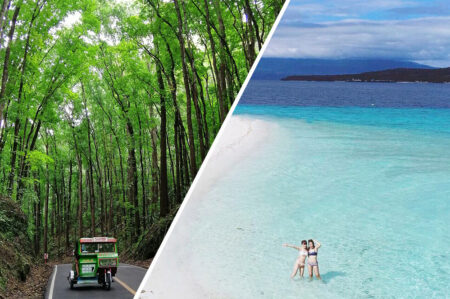 Man Made Forest in Bohol and Clear Blue waters in Cebu