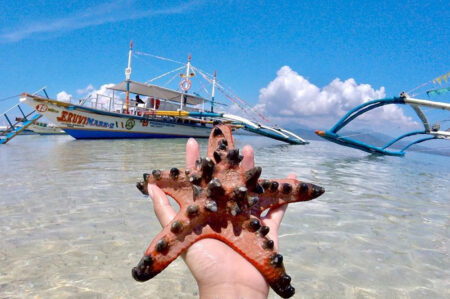 Starfish Island, Puerto Princesa, Palawan