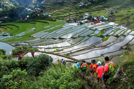 Banaue Rice Terraces, Ifugao, Mountain Province